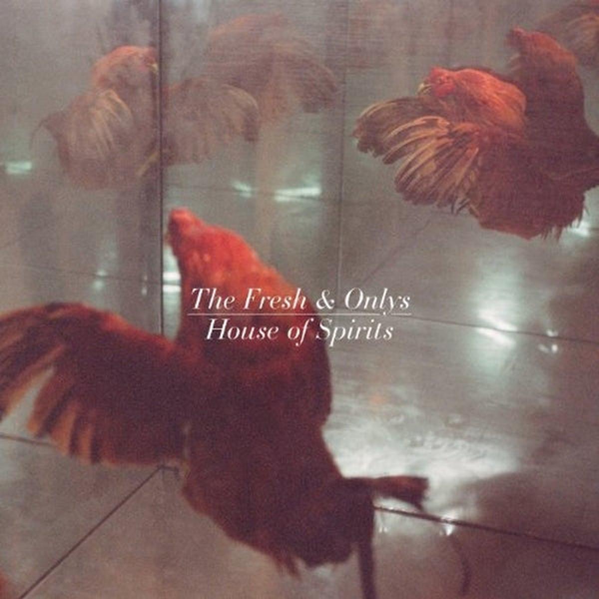 Fresh & Onlys - House of Spirits (LP)