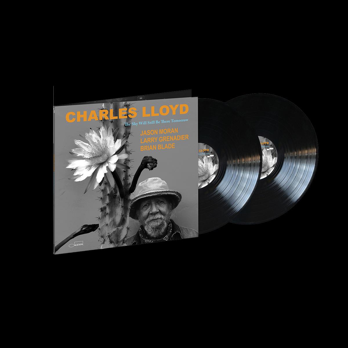 The Sky Will Still Be There Tomorrow: Vinyl 2LP
