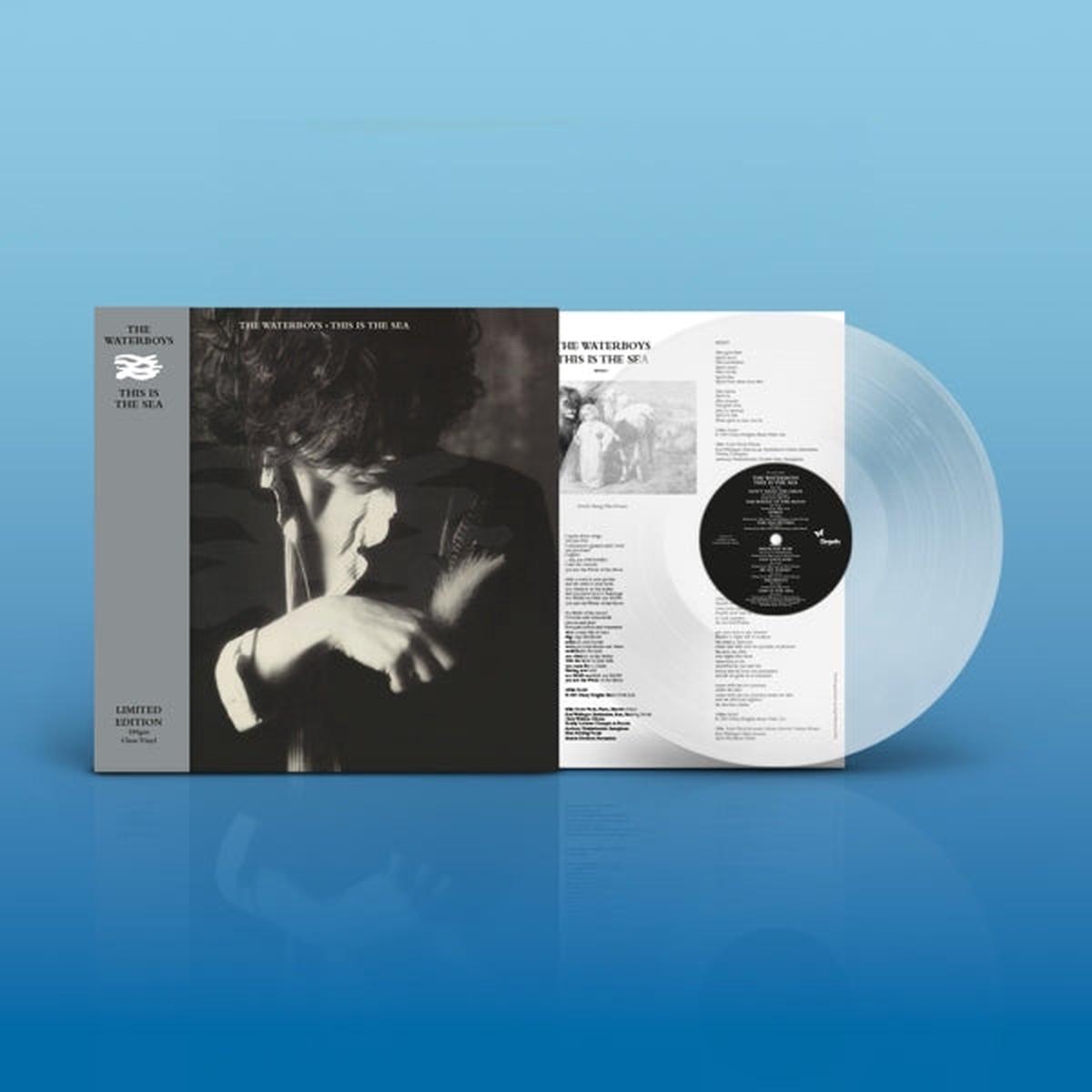 Waterboys - This is the Sea (LP)