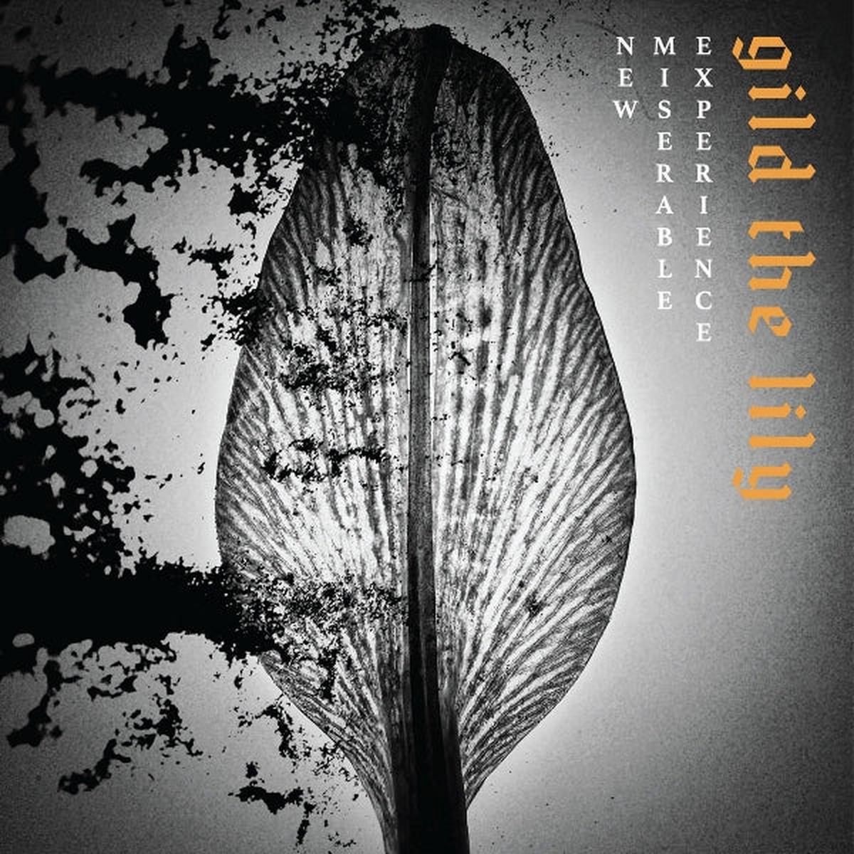 New Miserable Experience - Gild the Lily (2 LPs)