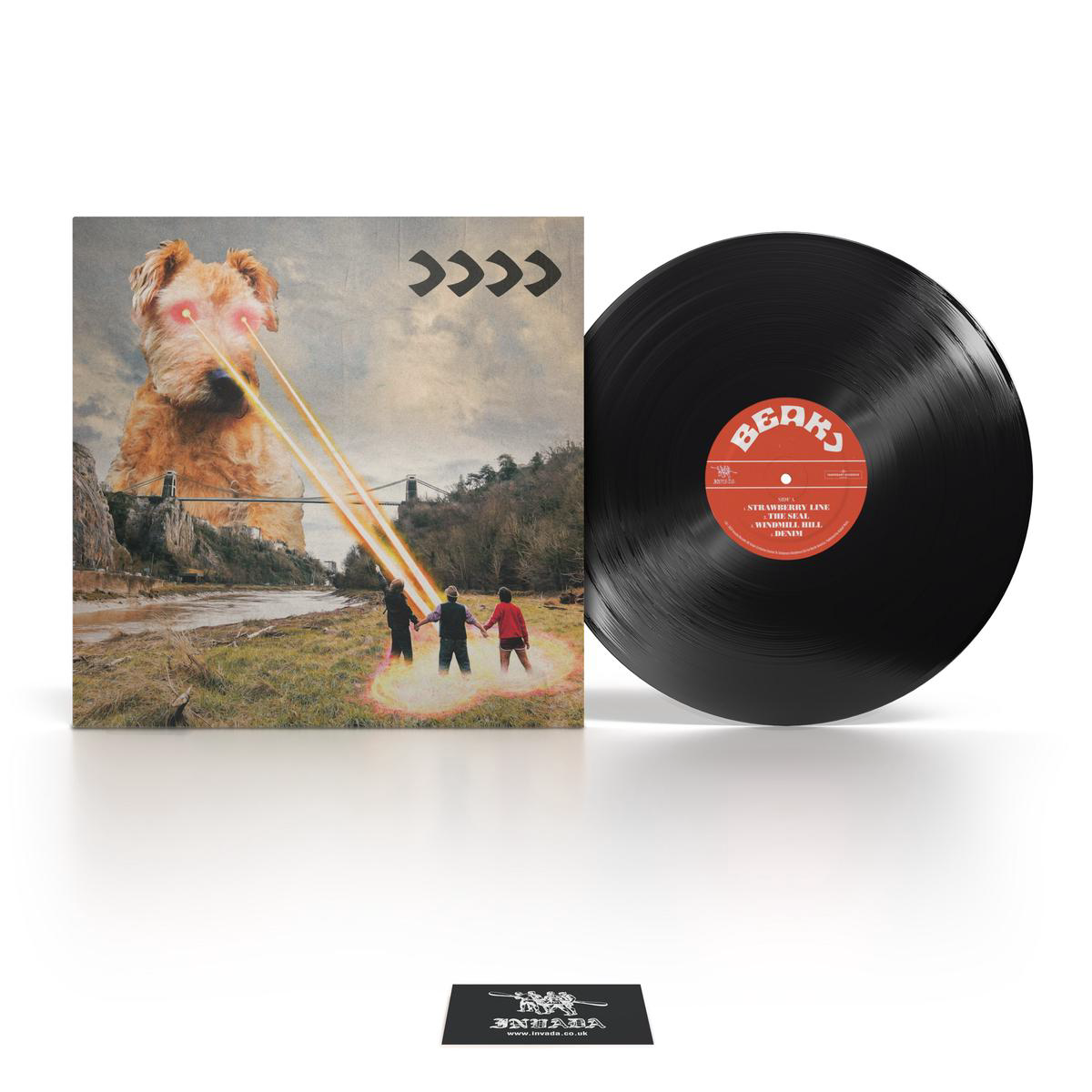 gtgtgtgt Vinyl LP