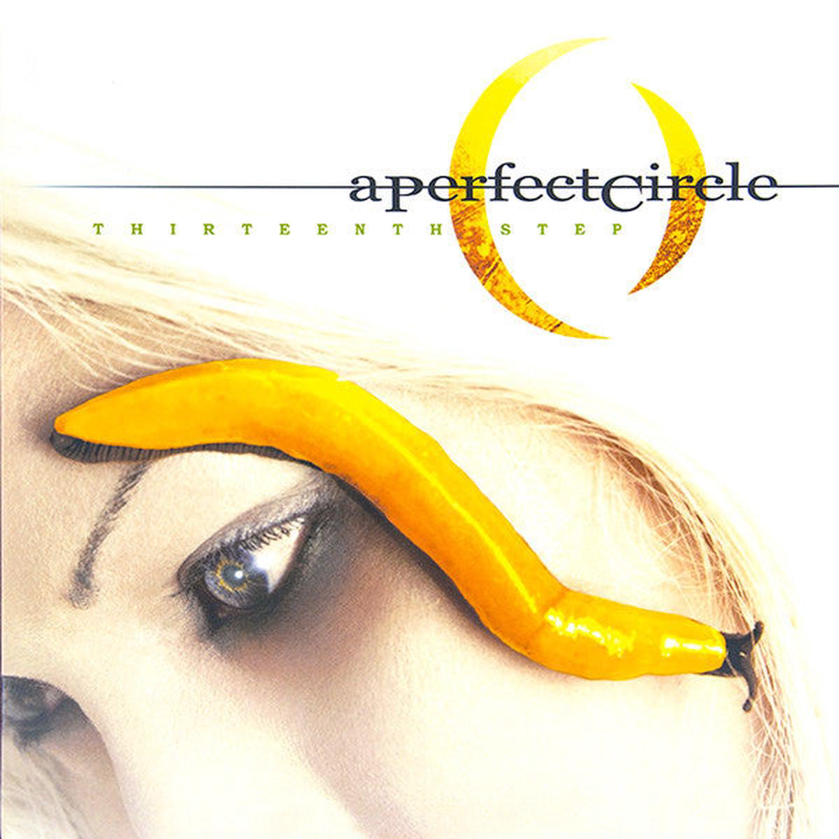 PERFECT CIRCLE 8211 THIRTEENTH STEP 2LP GATEFOLD 8211 LP
