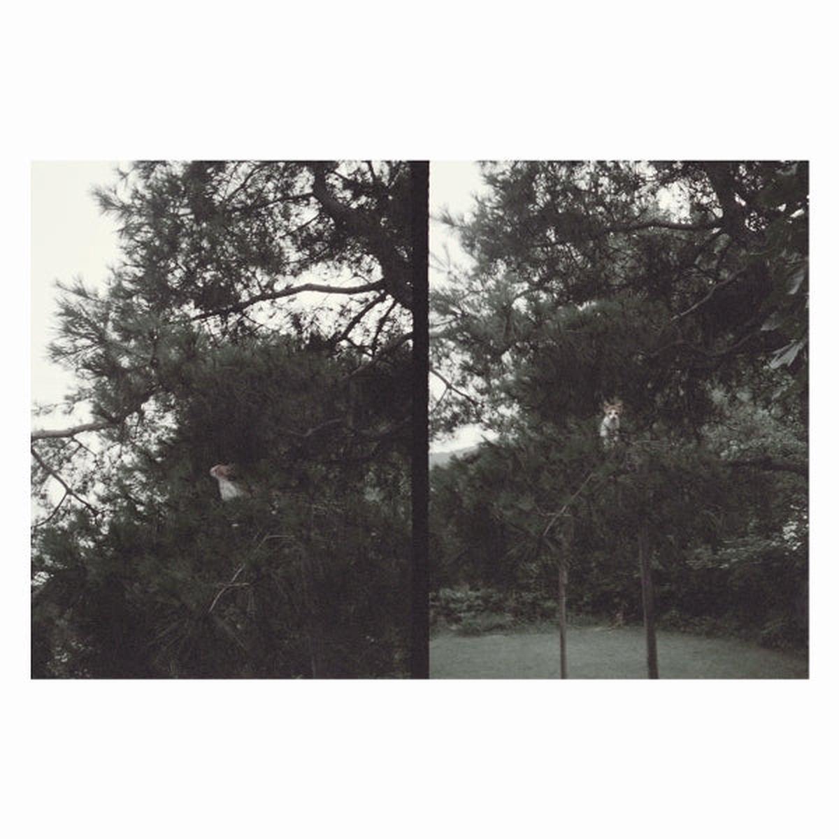 Okkyung Lee - Just Like Any Other Day (LP)