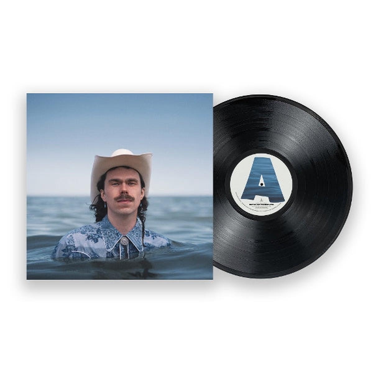 Boy Golden - Best of Our Possible Lives (LP)