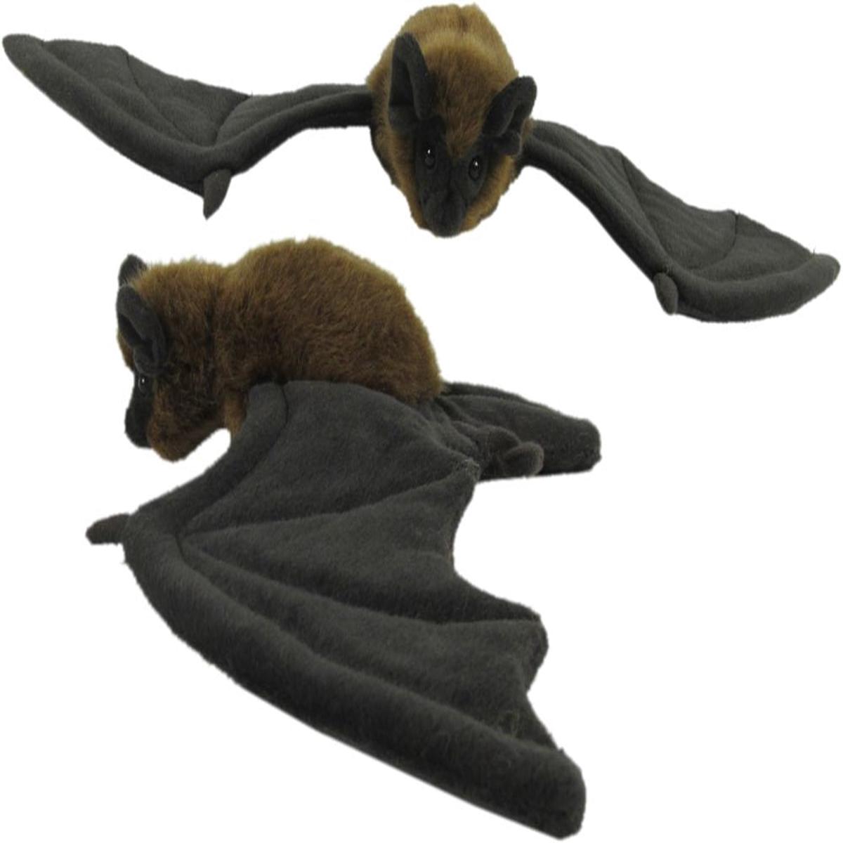 Antics Long-Tailed Bat
