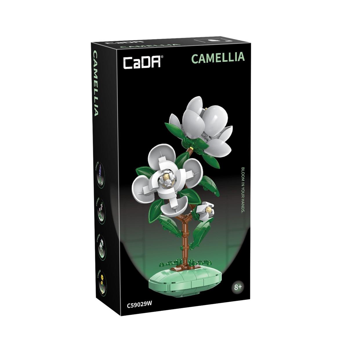 CaDA Flower Bonsai Camelia