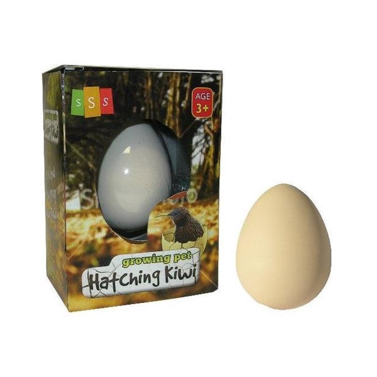 Hatching Kiwi Growing Pet Large