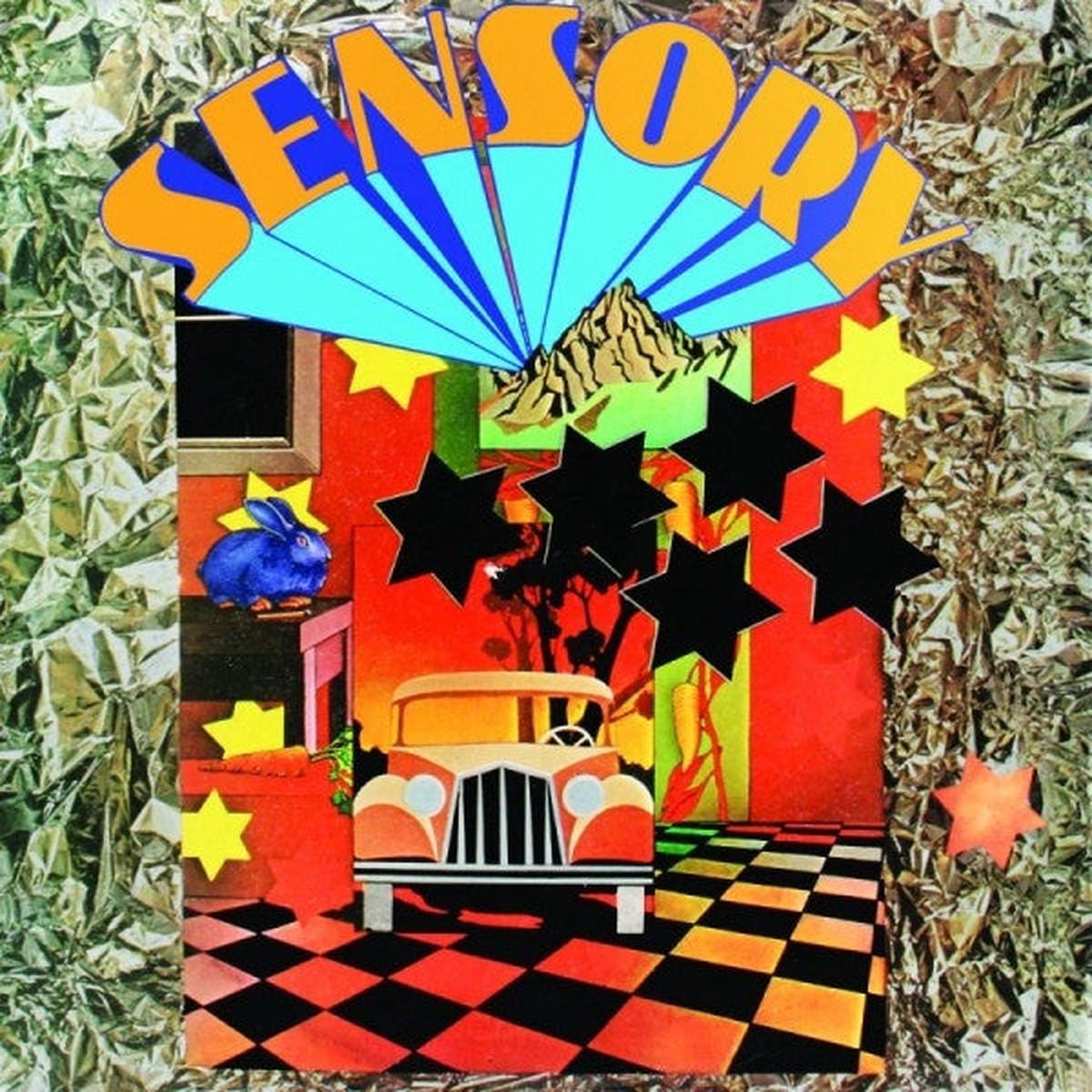 System  Sensory
