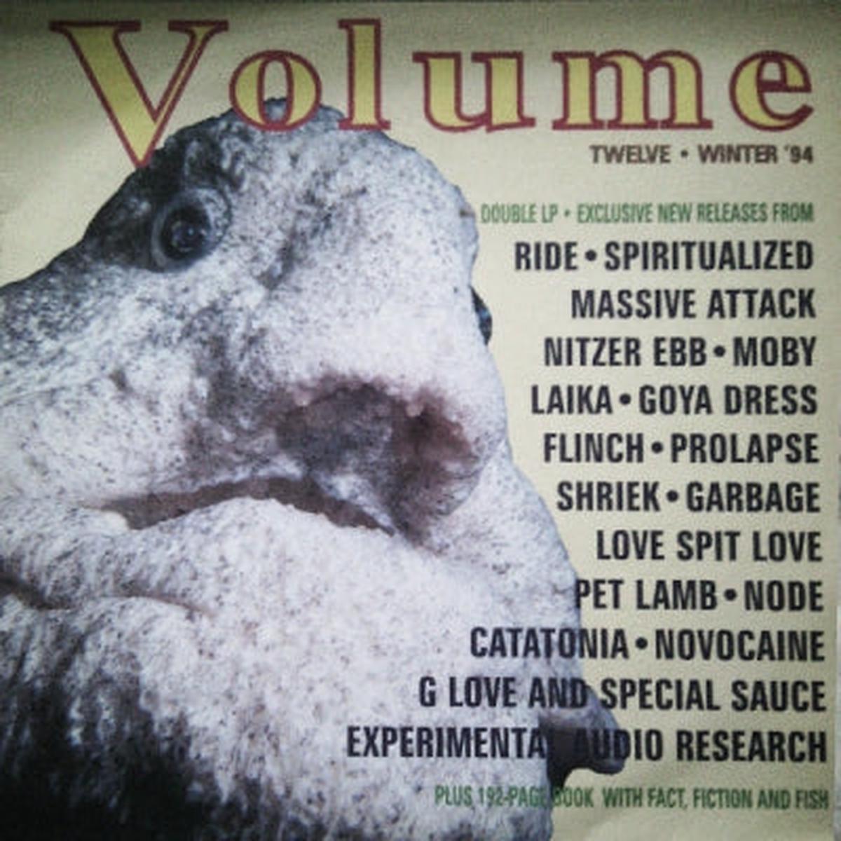 VARIOUS - Volume Twelve - Winter '94