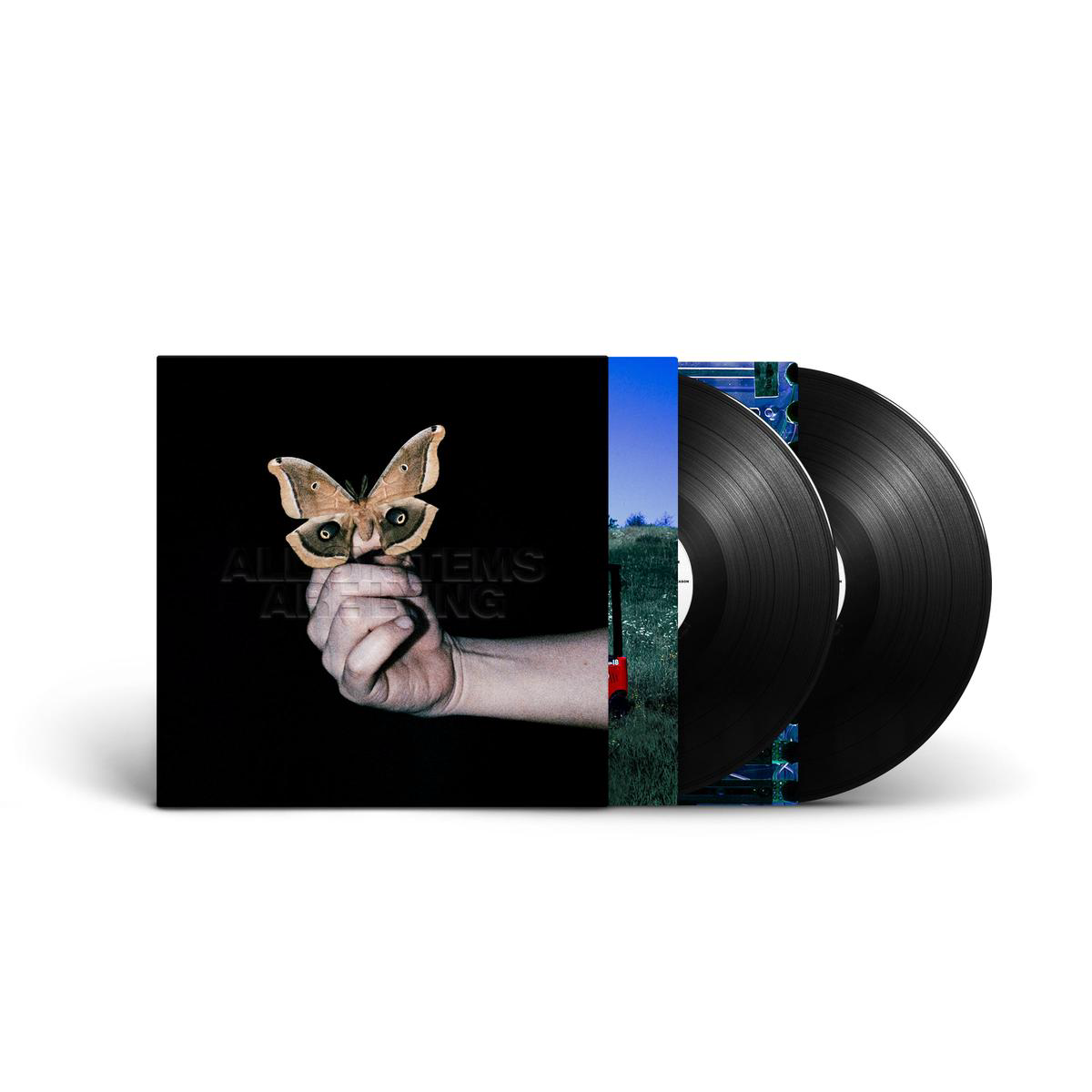 All Systems Are Lying Vinyl 2LP