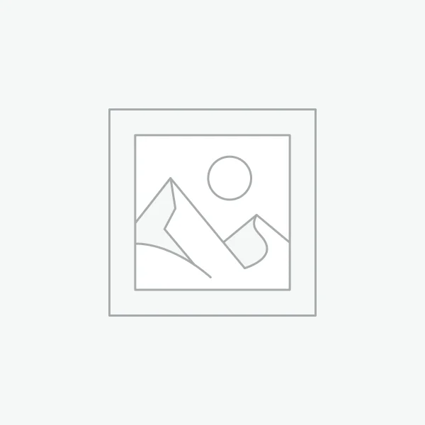 Plasmatic Idol Vinyl LP